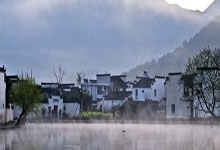武夷岩茶泡法大全